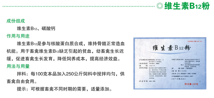 ά����B12��