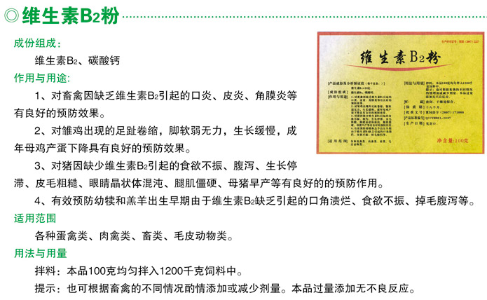 ά����B2��