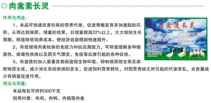 �����س���