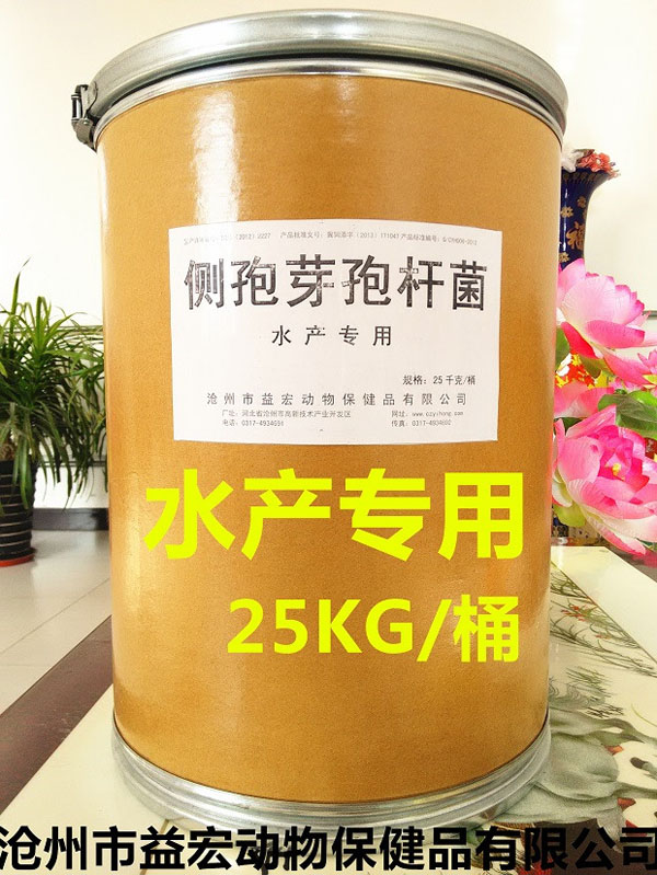 ����ѿ�߸˾�