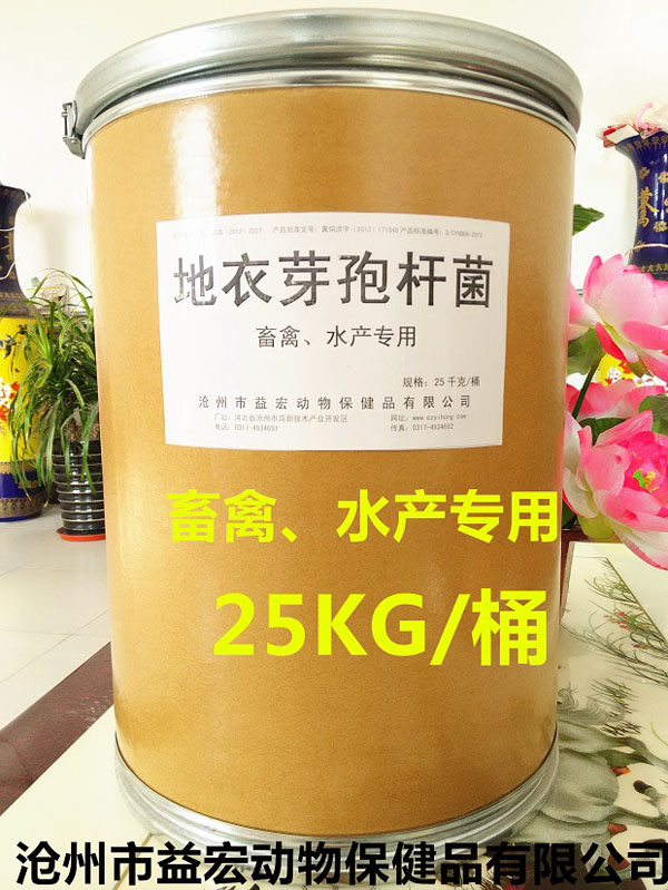 ����ѿ�߸˾�