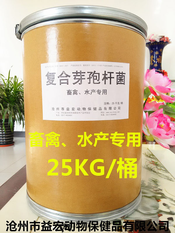 ����ѿ�߸˾�