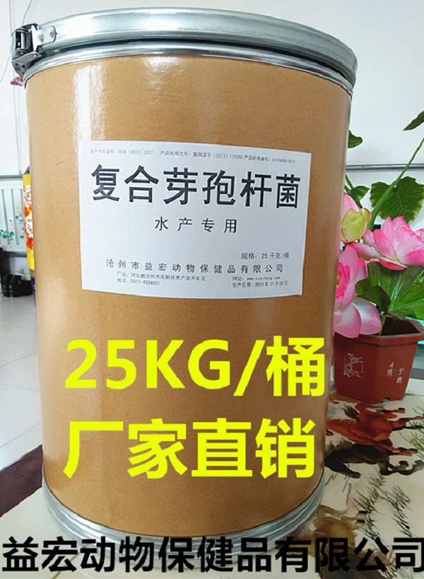 ����ѿ�߸˾�