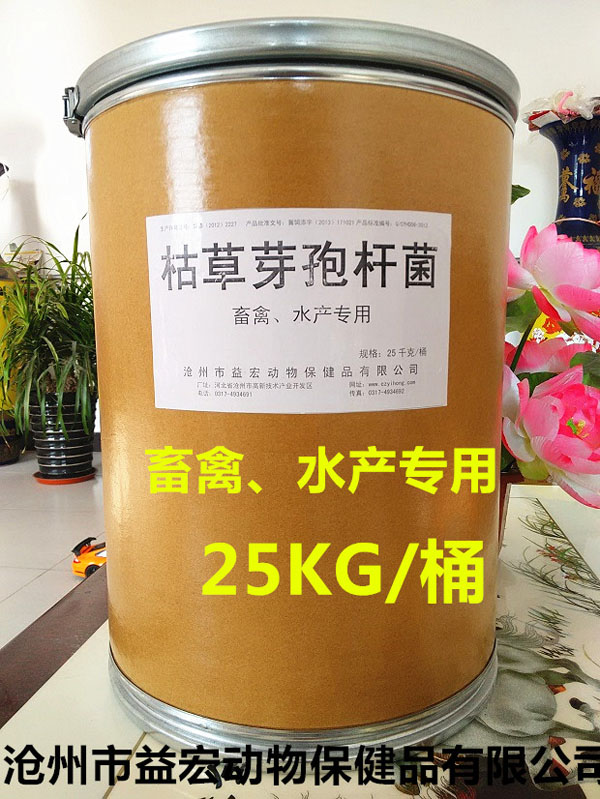 �ݲ�ѿ�߸˾�