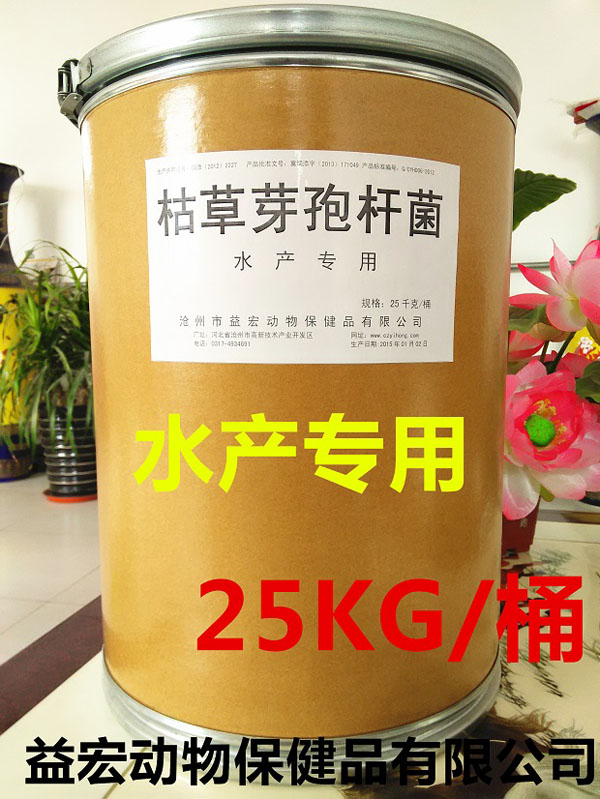 �ݲ�ѿ�߸˾�