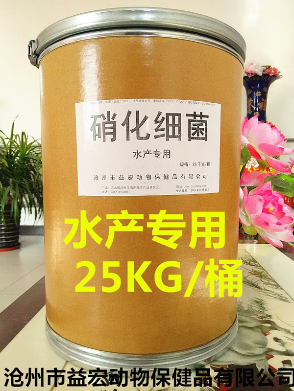 ����ϸ��